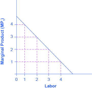 Graph showing the marginal product of labor