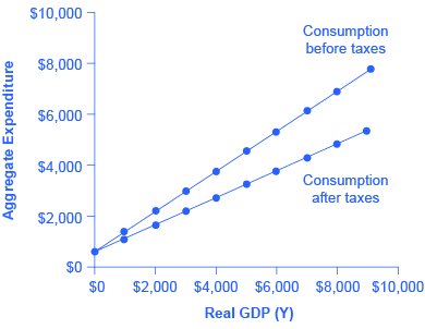 The graph shows two upward-sloping lines. The steeper of the two lines is the consumption before taxes. The more gradual of the two lines is the consumption after taxes.