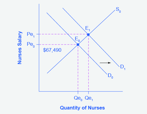 The graph shows an increase in the demand for and nurses from D0 to D1.