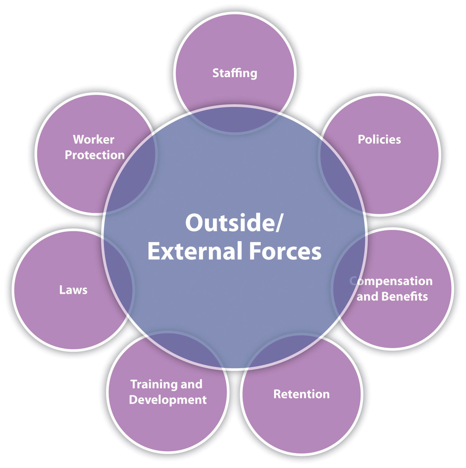 Most professionals agree that there are seven main tasks HRM professionals perform. All these need to be considered in relation to external and outside forces.