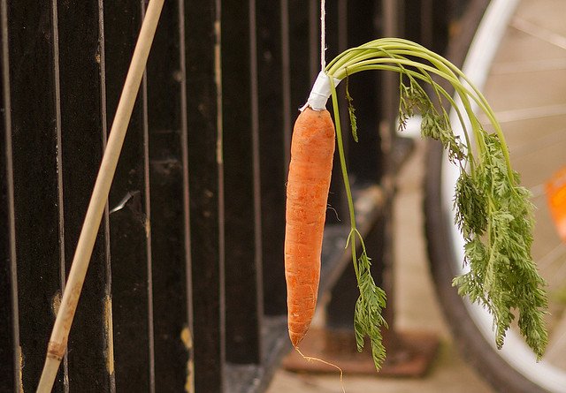 A carrot tied to the end of a stick