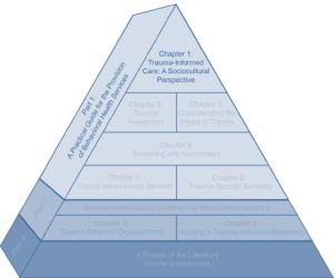 TIC Framework in Behavioral Health Services