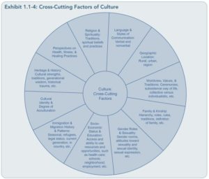 Wheel with different segments representing cross-cutting factors of culture