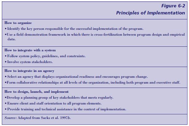 Principles of implementation divided into subcategories, each featuring specific bullet points.