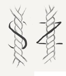 Shows an example of an S twist and a Z twist.