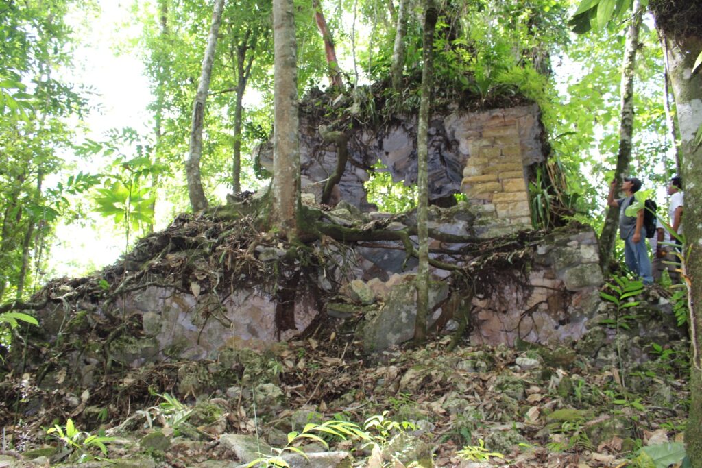Archaeological site in the jungle