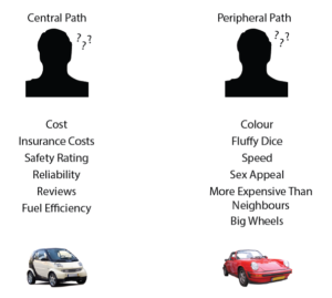 A picture showing how someond looking at a care via the central route thinks about cost and fuel efficiency and someone via the peripheral route notices the color and sex appeal.