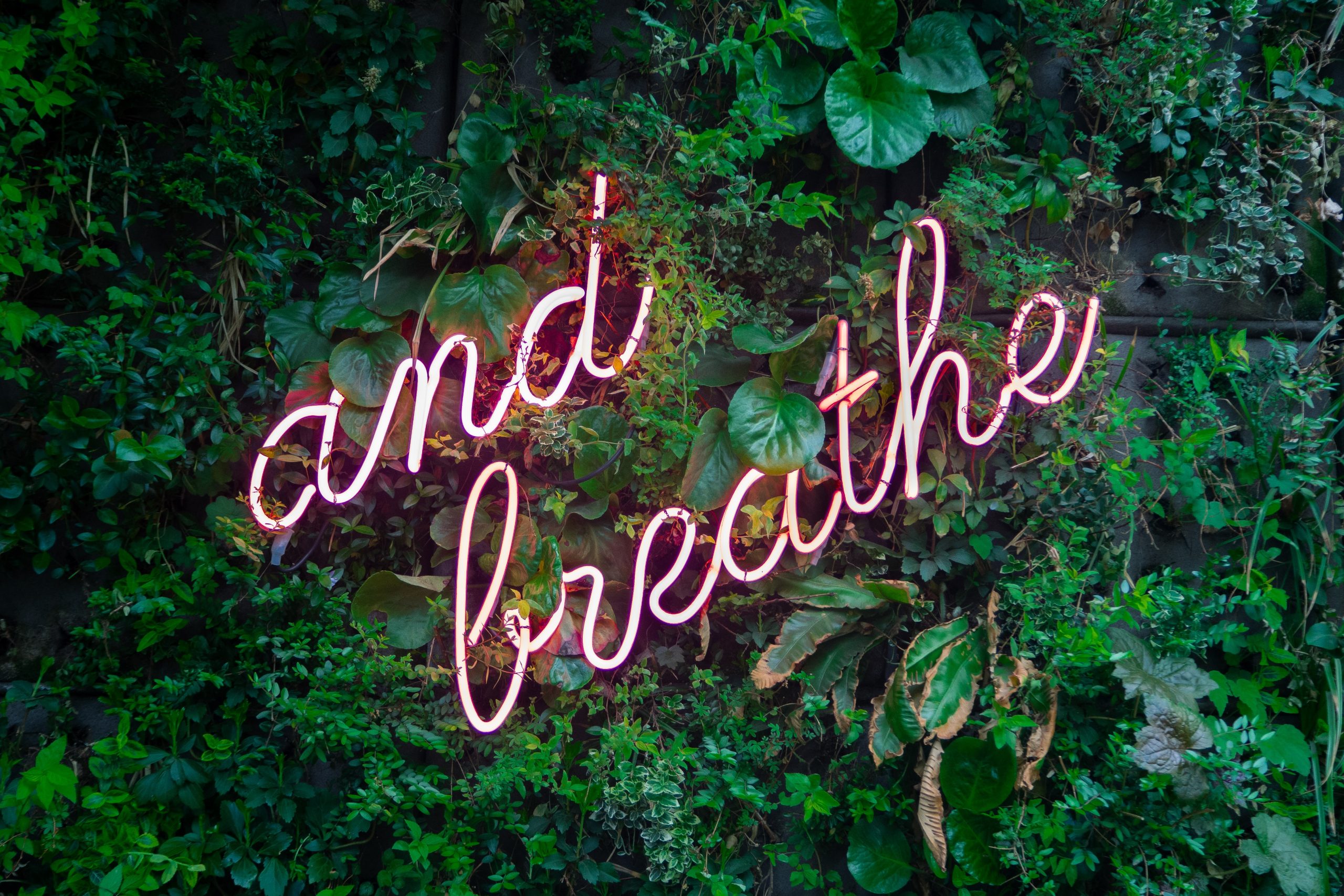 Neon sign that reads, "and breathe"