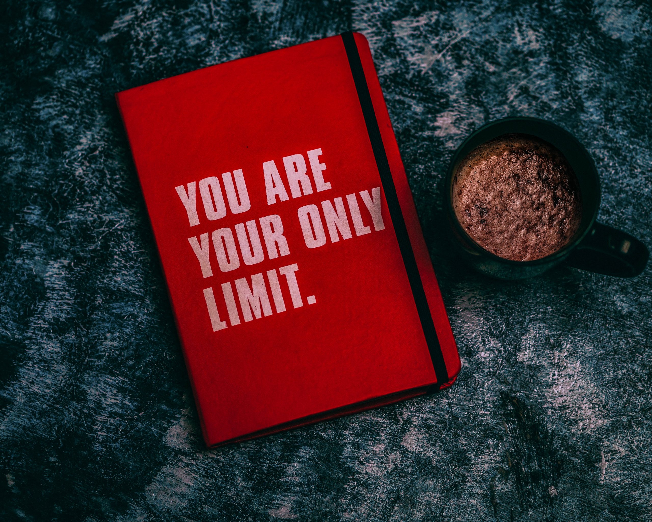 Picture of a book that says, "You are your only limit."